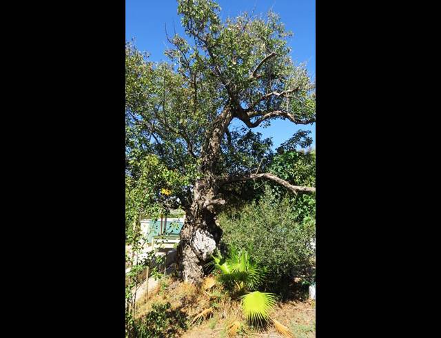 4 BEDROOM HOUSE FOR SALE IN DE RUST